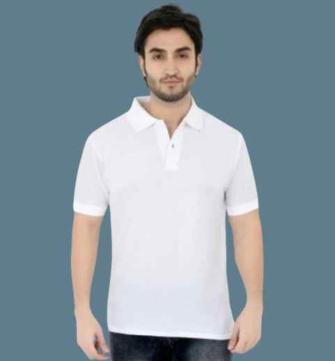 Exclusive Poloneck Half Sleeve Designer T-Shirt_For Men 1740641746111-58 Mens T-shirts